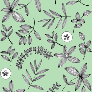 Botanical Drawn - mint