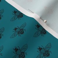 Baby Bee Black on Teal