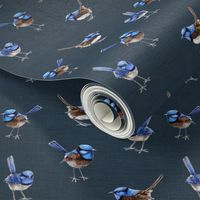 Blue Wrens on Dark Denim