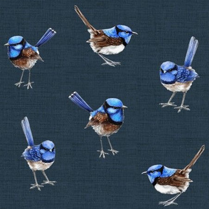 Blue Wrens on Dark Denim