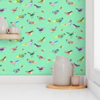 Songbirds in Mixed Colors on Mint