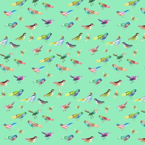 Songbirds in Mixed Colors on Mint