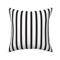 Black and White Stripes Vertical