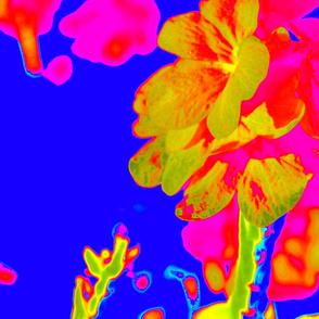 abstract_flower_magenta_blue