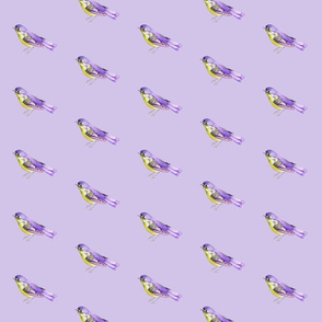 Lavender Bird
