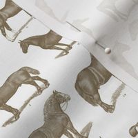 Vintage Horse Breed Poster Wall Paper