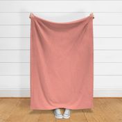 Light Coral Linen Solid