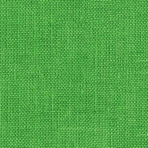 seamless green burlap