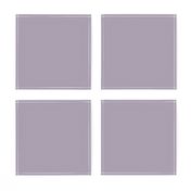 Solid Pale Plum Purple