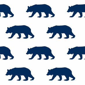 Bears in Navy