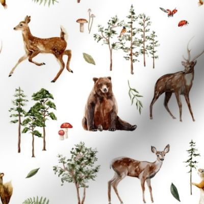 Forest Grove - Woodland Animals