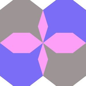 decagon purple - blue - gray - white