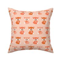 Baby foxes in peach