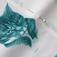 Whiskey the Cat- teal