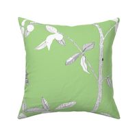 Jenny Modern kumquat on fresh green