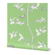 Jenny Modern kumquat on fresh green