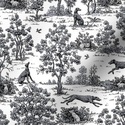 Black Greyhound Toile 