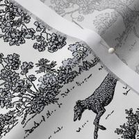 Black Greyhound Toile 