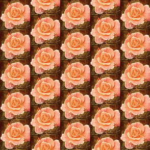 Vintage Tea Rose