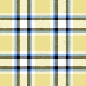 Jazzy plaid by Su_G_©SuSchaefer