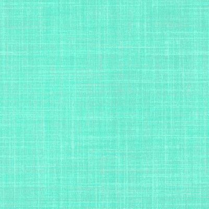 Linen in robin egg blue