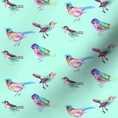 Song Birds on Mint