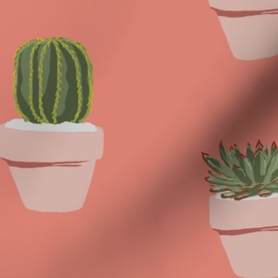 Cacti and Succulents (original)