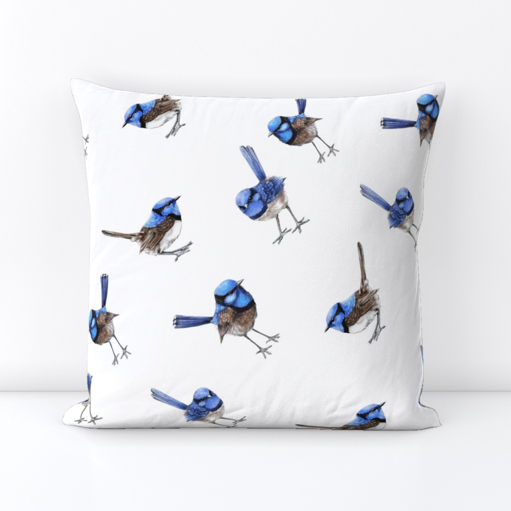 Blue Wrens on White, Bias Larger