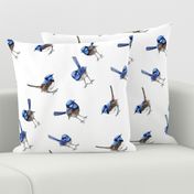 Blue Wrens on White, Bias Larger