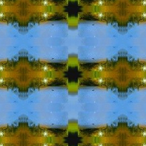 floatingonanautumnpondspoonflower