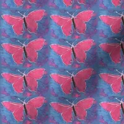 Pink butterfly