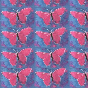 Pink butterfly