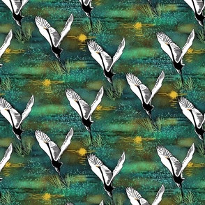 Dancing Cranes 2