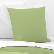 solid pale pistachio green (B4C688)