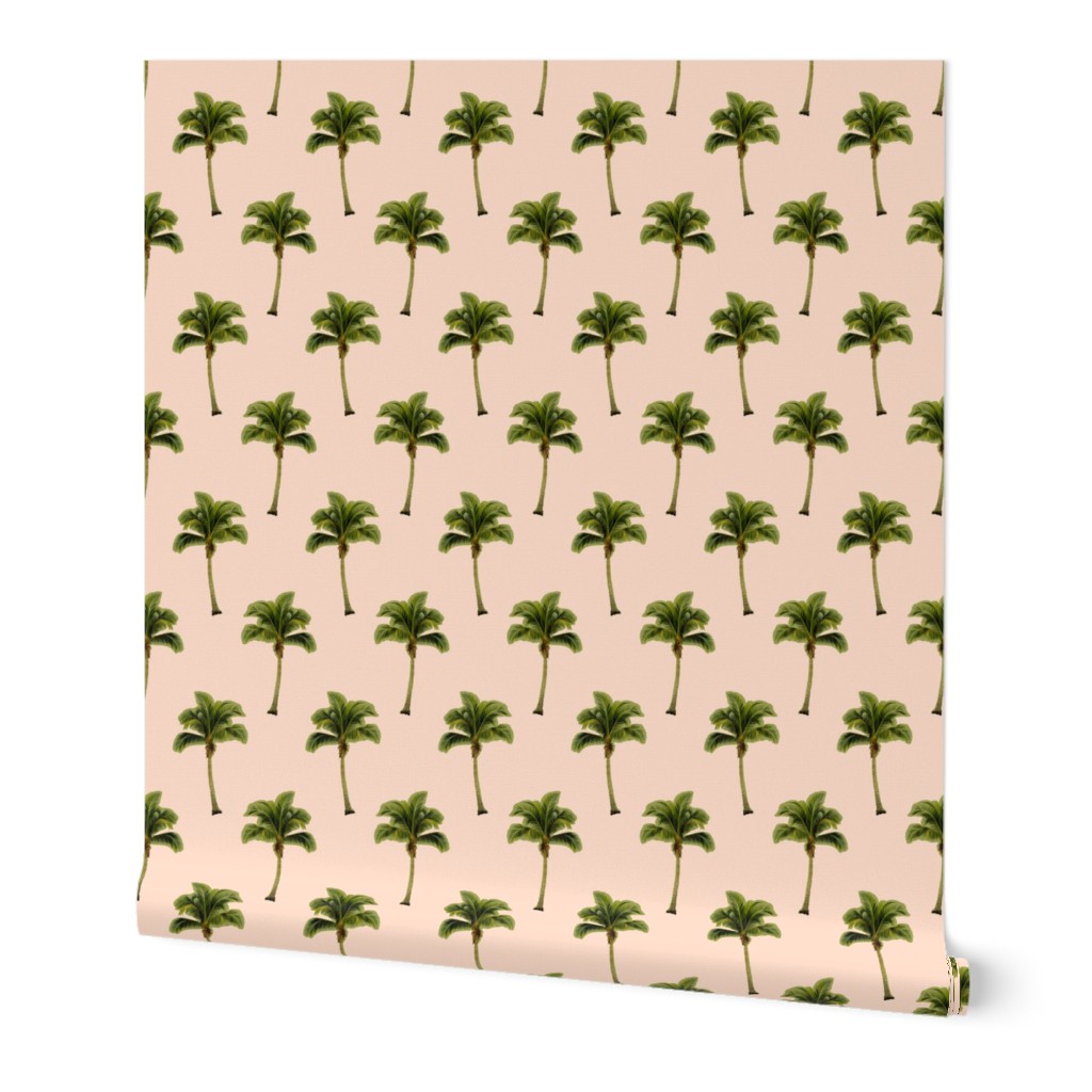 Palm Tree on Soft Peach