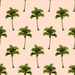 Palm Tree on Soft Peach