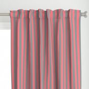 Coral and Grey Vertical Stripes