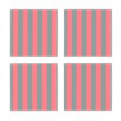 Coral and Grey Vertical Stripes