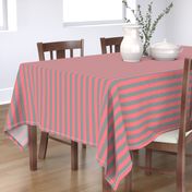 Coral and Grey Vertical Stripes