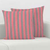 Coral and Grey Vertical Stripes