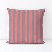 Coral and Grey Vertical Stripes