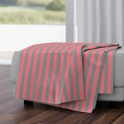 Coral and Grey Vertical Stripes