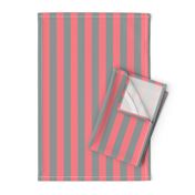 Coral and Grey Vertical Stripes