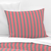 Coral and Grey Vertical Stripes