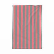 Coral and Grey Vertical Stripes