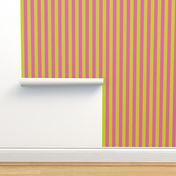 Lime Green and Hot Pink Preppy Stripes