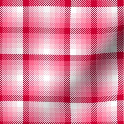 02875553 : tartan : valentine