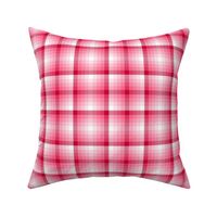 02875553 : tartan : valentine