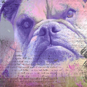 Dreamy Bulldog