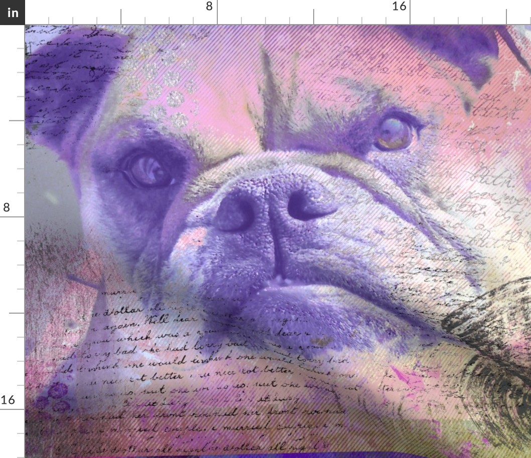 Dreamy Bulldog